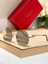 Picture of Cartier Sunglasses _SKUfw54146501fw